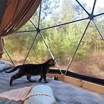 Podniebny Glamping בורסק