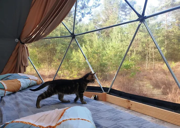 Podniebny Glamping Borsk