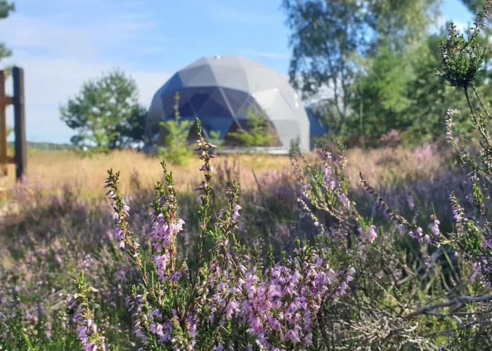 Podniebny Glamping Borsk